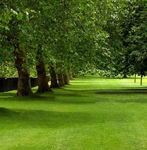 Mountain View Seeds Natures Own Sun & Shade Mix Grass Seed, 3-pounds - Image 3
