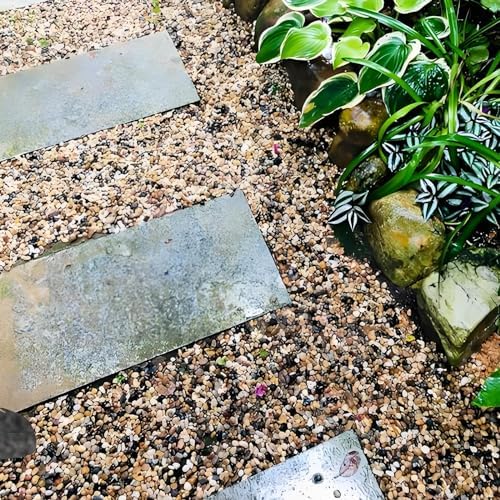 FANTIAN Pea Gravel for Fish Tank,5 lbs Polished Pebble for Plants, 1/4 Inch - Image 5