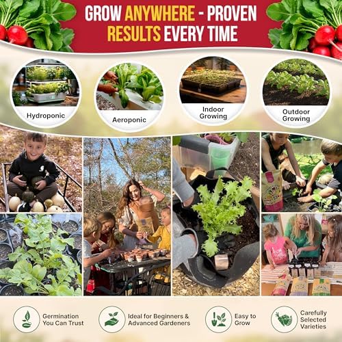Cherry Belle Radish Seeds Pack 10 G - Over 1200 Non-GMO Heirloom Radish Seeds for Planting Vegetables in Individual Seed Packet, Vegetable Seeds for Planting Home Garden Indoor & Outdoor Gardening - Image 5