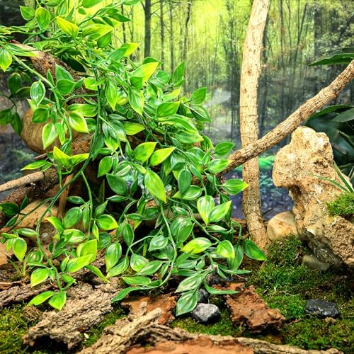 HERCOCCI Reptile Plants, 2 Pack Terrarium Hanging Plants Vines Artificial Leaves Habitat Decorations with Suction Cup for Bearded Dragon Hermit Crab Lizard Snake Geckos Chameleon - Image 3