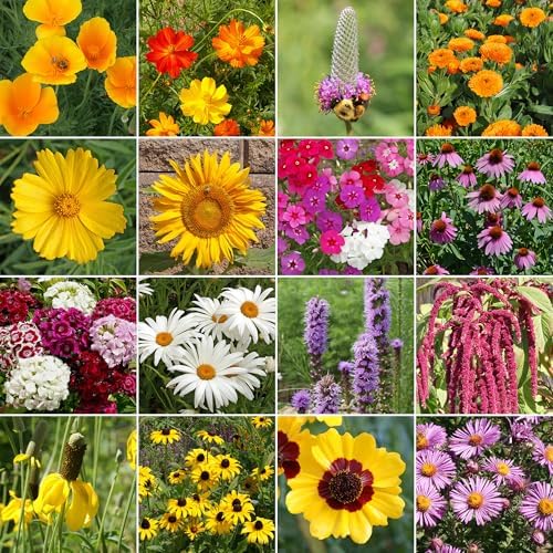 Ferry-Morse Pollinator Lover's Bulk Wildflower Seeds, 200,000+, 1 lb - Image 2
