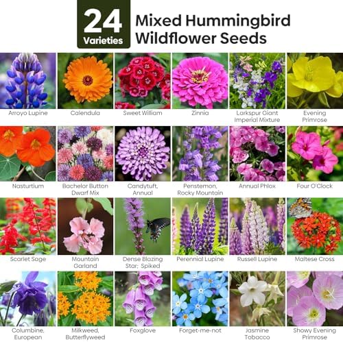 Groundio 25,000+ Wildflower Seeds Mix 1 Oz, 24 Varieties Perennial & Annual Seeds for Hummingbirds and Butterflies, High Germination Flower Seeds Throw and Grow to Plant Outside, No Filler - Image 2