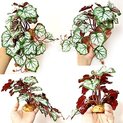 Woyrise Artificial Reptile Plants for Terrarium, Habitat Decor, Fake Plant - Image 6