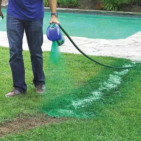Hydro Mousse Bermuda Grass Seed - Large Refill Bag - Covers up to 1000 Square Feet - Image 2