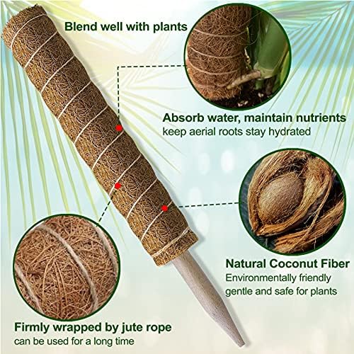 Fabulas Moss Pole 58.7 Inch - Monstera Plant Support 5 Pack, 17.5" and 12" Plant Stakes for Indoor Plants Coco Coir Moss Pole Sticks for Climbing Potted Live Plants, Pothos, Philodendron - Image 3