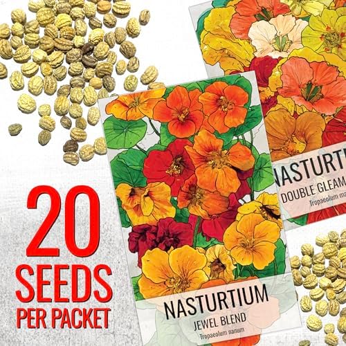 Seed Needs Nasturtium Garden Seeds Variety Pack of 2 Edible Wildflowers - Image 2