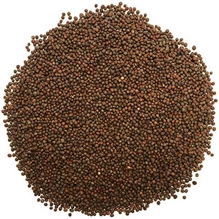1 lb Broccoli Sprouting Seeds - Perfect for Sprouting & Microgreens, Rich in Sulforaphane, USA Grown (Resealable Bag) - Image 2