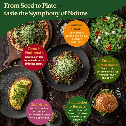 Arugula Sprouting & Microgreens Seeds - 220,000 Non-GMO Heirloom Seed, 1lb Resealable Bag - High-Germination Arugula Seeds for Sprouting in Jars, Soil, Hydroponics & Microgreen Trays - Image 6
