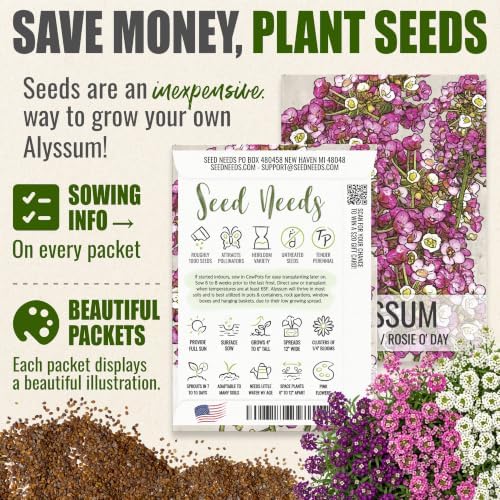 Seed Needs Alyssum Seeds Variety Pack of 4 Groundcover Flowers to Plant - Image 3