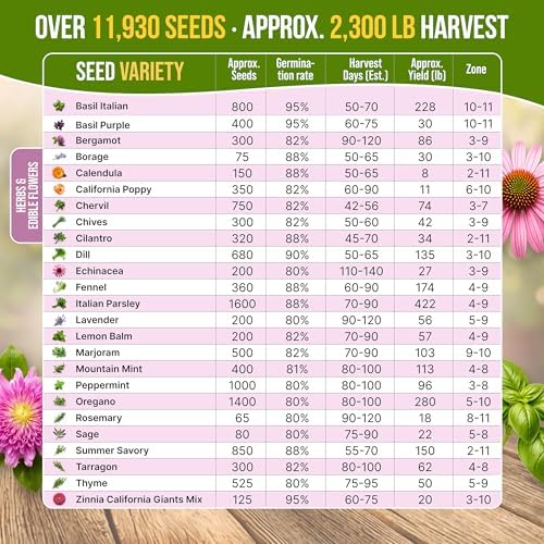 25 Culinary Herbs & Edible Flower Seed Variety Pack for Planting Indoor & Outdoors. 11900+ Non-GMO Heirloom Flower Seeds: Basil, Borage, Echinacea, Lavender, Oregano, Rosemary Seeds & More - Image 4