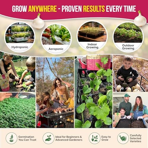 Organo Republic 8 Onion Seeds Variety Pack Heirloom, Non-GMO, Sets for Indoors, Outdoors Gardening. 2200+ Seeds: Walla Walla, Green Onion, Red Burgundy, White & Yellow Sweet Spanish Onions - Image 5