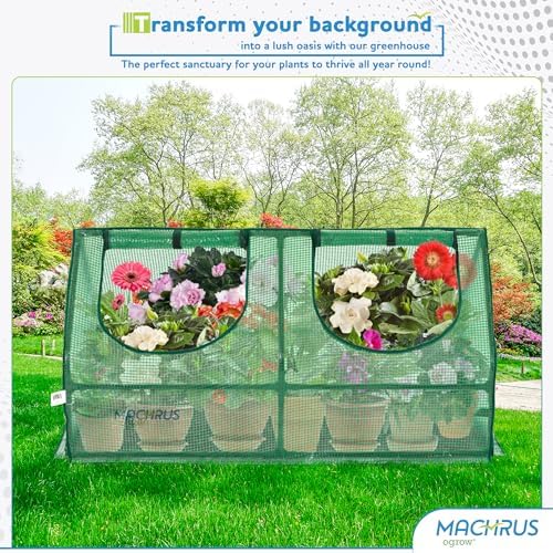 Compact Garden Cloche, Mini Greenhouse, Seed Starter Plant Protector, Indoor and Outdoor Use, Portable Growing Dome for Herbs, Flowers, Vegetables, Green Cover - Image 6