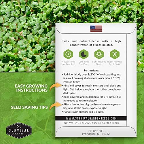 Cabbage Microgreen Seeds for Sprouting - 3 Packs - Image 2