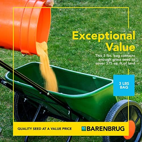 Barenbrug Wonderlawn Shady Grass Seed Mix for Lawn Care and Landscaping, 3 lbs. Bag - Image 6