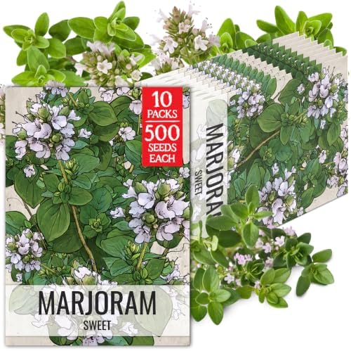 Seed Needs Sweet Marjoram Seeds to Plant an Herb Garden - 10 Packs by SeedNeeds