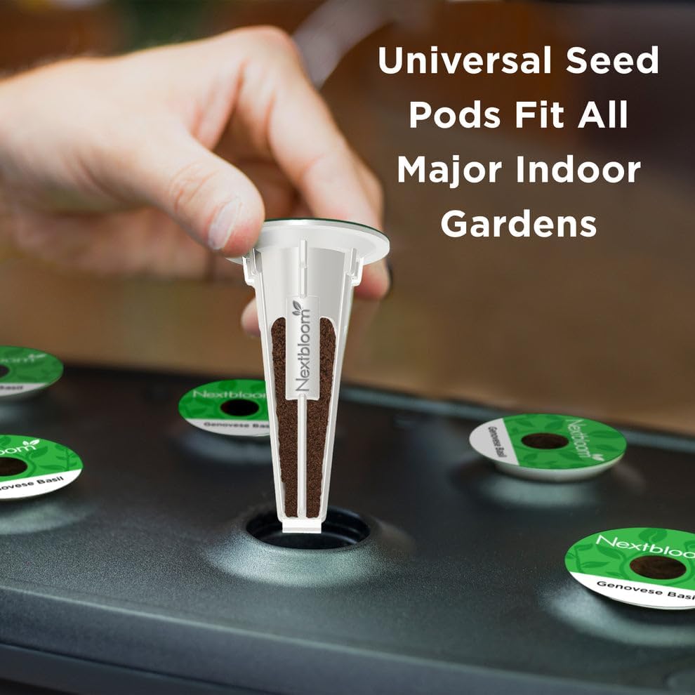 Italian Herbs Seed Pod Kit - Pre-Seeded & Hand Made in the USA - Image 6