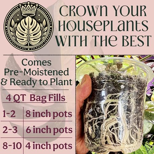 Craft Houseplant Potting Mix, Organic Indoor Potting Soil for House Plants, Chunky Well Draining Plant Soil for Pothos, Snake Plant & Tropical Plants, Peat Free, 4 Quart - Image 6
