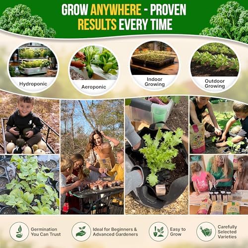 Kale Dwarf Siberian Seeds Pack 5 G - Over 1,650 Non-GMO Heirloom Kale Seeds for Planting Greens in Individual Seed Packet, Greens Seeds for Planting Home Garden Indoor & Outdoor - Image 5