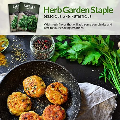 Italian Flat Leaf Parsley Seeds for Planting (2 Pack) - Image 4