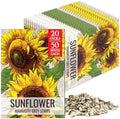 Seed Needs Mammoth Grey Sunflower Seeds to Plant Cut Flowers - 20 Packs by SeedNeeds