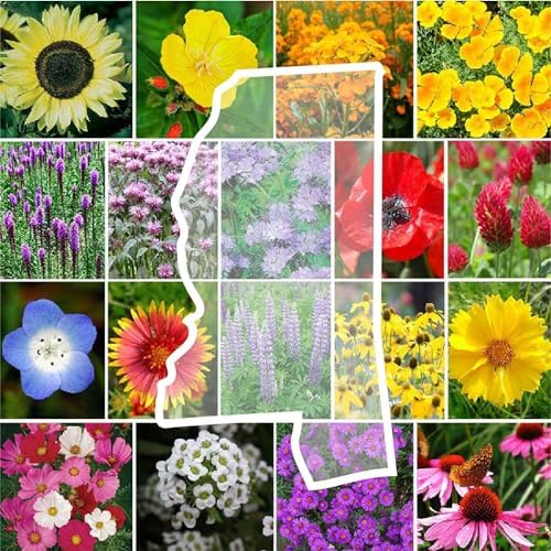Eden Brothers Mississippi Wildflower Mixed Seeds for Planting, 1 oz by EdenBrothers