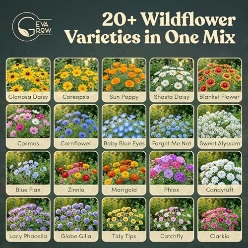 Wildflower Seed Shaker – Annual Mix by GevaGrow | 17 Variety Flower Seeds for Planting in Pots & Outdoor Gardens, Bulk 300,000+ Seeds - 1 Pound Tub - Image 3