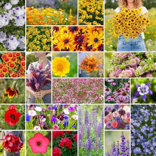 Eden Brothers Western Wildflower Mixed Seeds for Planting, 25 lb, 12,000,000+ Seeds with Cornflower, Blanket Flower | Attracts Pollinators, Plant in Spring or Fall, Zones 3, 4, 5, 6, 7, 8, 9, 10 by EdenBrothers