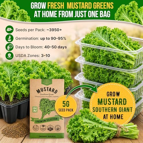 Mustard Southern Giant Seeds Pack 5 G - Over 3,950 Non-GMO Heirloom Mustard Seeds for Planting Greens in Individual Seed Packet, Greens Seeds for Planting Home Garden Indoor & Outdoor - Image 4