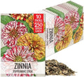 Seed Needs Peppermint Stick Zinnia Seeds to Plant Cut Flowers - 10 Packs by SeedNeeds