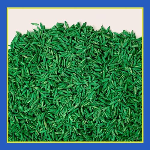 Pennington Clover Grass Seed Mix for Lawn, 7 Pounds (Pack of 4) - Image 3