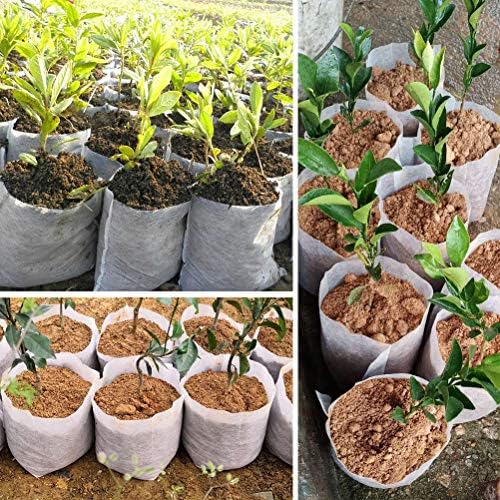 Belit Large Non-Woven Plant Nursery Bags, 30 Pcs Grow Bags Seedling Pots Container for Tree,Vegetable, Flower, Plant Grow (12.6"x13.4") - Image 2