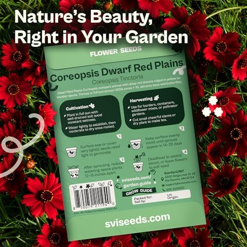 SVI 2500 Dwarf Red Plains Coreopsis Seeds (Coreopsis Tinctoria) - Calliopsis, Annual Wildflower, Non GMO Heirloom Seed - Flower Seeds in Seed Packets for Home Garden and Border, Outstanding Cut Flower - Image 2