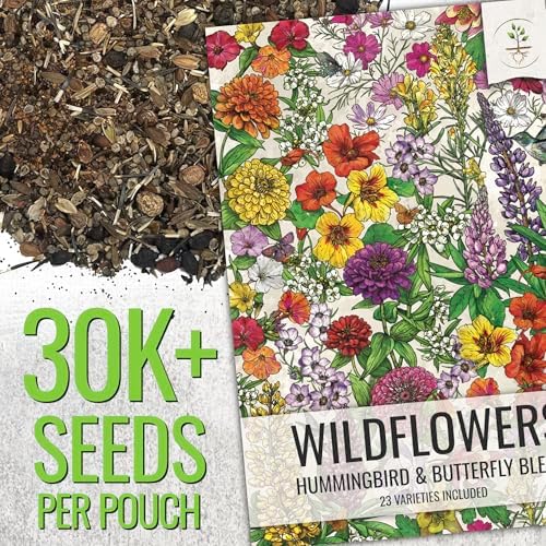 Seed Needs Wildflower Seeds Butterfly and Hummingbird Mix 2 Ounce Bulk Pack - Image 2