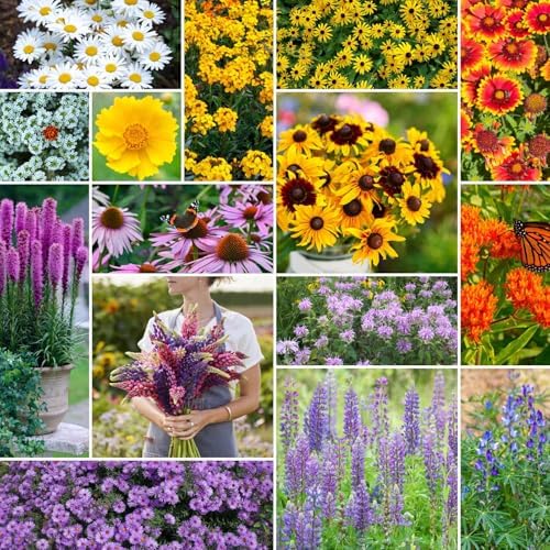 Eden Brothers Northeast All Perennial Wildflower Mixed Seeds, 5 lb by EdenBrothers