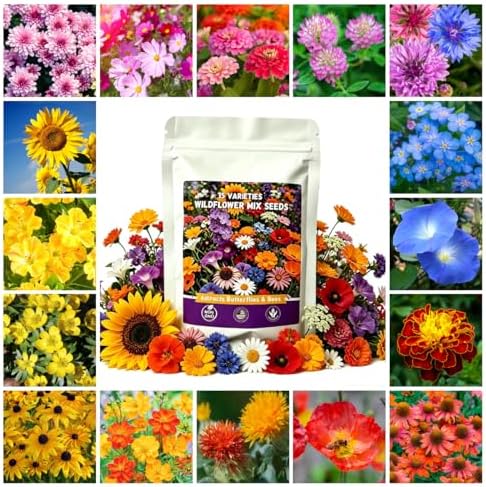 Wildflower Seeds, 5000+ Open Pollinated Non-GMO Seeds, 15 Varieties Butterfly Hummingbird Mix, Wildflower Seeds Bulk Mix for Outdoor Gardens, Yards, Attracts Pollinators - Image 3