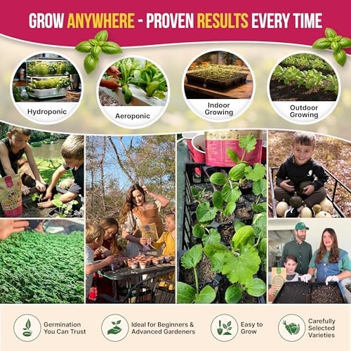 Organo Republic 25 Medicinal & Tea Herb Seeds Variety Pack for Indoor & Outdoors. 10900+ Non-GMO Heirloom Garden Seeds: Anise, Borage, Cilantro, Chamomile, Dandelion, Rosemary, Peppermint Seeds - Image 4