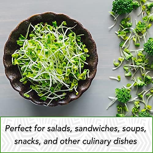 1 lb Broccoli Sprouting Seeds - Perfect for Sprouting & Microgreens, Rich in Sulforaphane, USA Grown (Resealable Bag) - Image 5