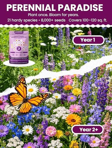 Wildflower Seeds – Perennial Paradise Mix, 21 Heirloom Species, 90,000+ Seeds (1lb) Covers 1125-1350 sq. ft., High Germination for Outdoor Pollinator Garden - Image 4