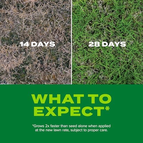 Scotts Turf Builder Rapid Grass Bermudagrass, 1 lb. - Image 5