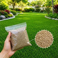 50,000 Zoysia Emerald Grass Seeds for Lawn, Zoysia Grass Seeds by Unknown