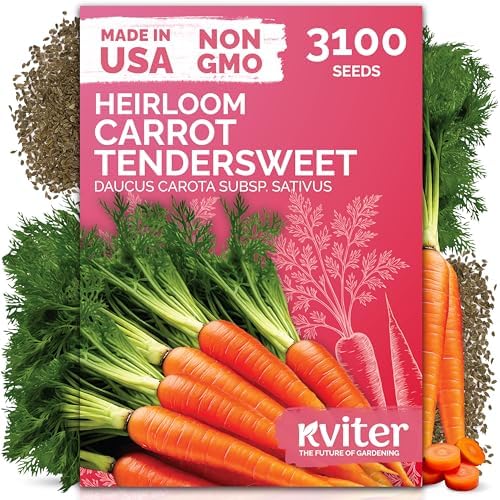3,100 Tendersweet Carrot Heirloom Vegetable Seeds, Daucus Carota by KVITER