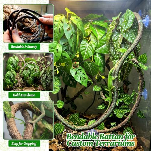 5 Pcs Reptile Plants & Habitat Decor Kit - 3 Artificial Plants & Large 5ft Jungle Vine Branch, Terrarium Tank Decor & Climbing Accessories for Gecko (Polka Dot Begonia, Monstera Adansonii, Alocasia) - Image 5