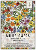 Seed Needs Pollinator Seed Honey Bee Blend 12,500 Seeds 1 Ounce Bulk Pack by SeedNeeds