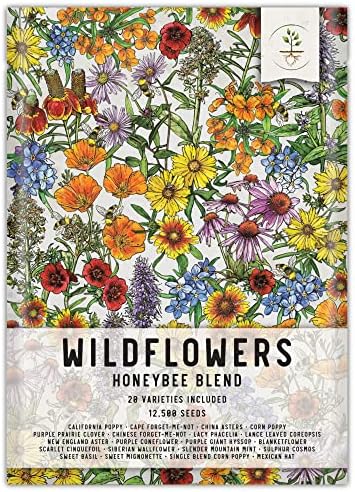 Seed Needs Pollinator Seed Honey Bee Blend 12,500 Seeds 1 Ounce Bulk Pack by SeedNeeds