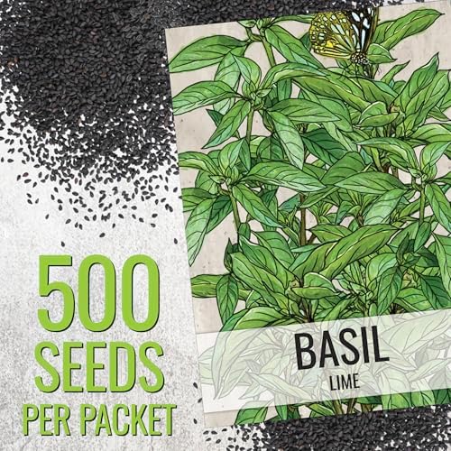 Seed Needs Basil Seeds Duo Pack - Non-GMO & Heirloom Lemon & Lime - Image 4