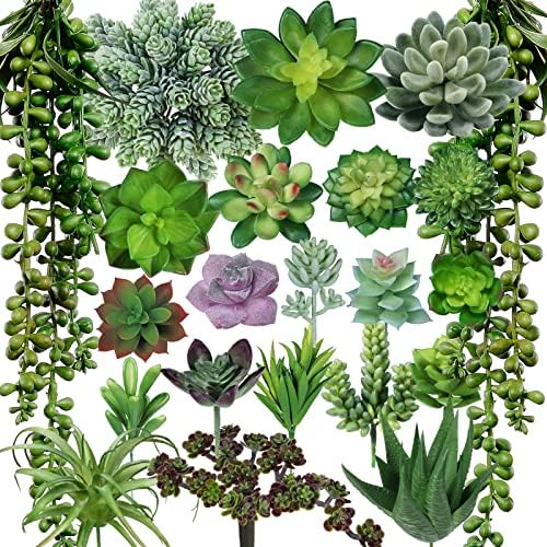 Winlyn 22 Pcs Bulk Artificial Succulents Plants Unpotted Small Aloe Hanging String of Pearls Cactus Green Fake Succulents for Succulent Garden Arrangement Centerpiece Wall Indoor Outdoor Home Decor by Winlyn