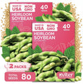80 Soy Bean Midori Giant Edamame Heirloom Vegetable Seeds, Glycine Max by KVITER