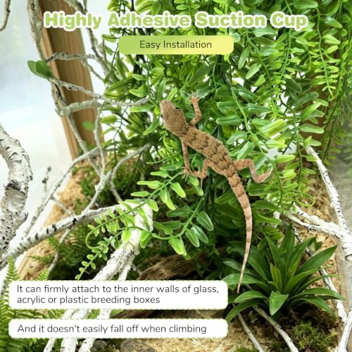 PINVNBY Reptile Plants Hanging Fake Vines Boston Climbing Terrarium Plant with Suction Cup for Bearded Dragons Lizards Geckos Snake Pets Hermit Crab and Tank Habitat Decorations (4 Pack) - Image 4
