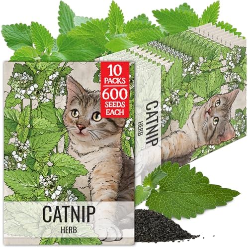 Seed Needs Catnip Seeds to Plant an Herb Garden - 10 Packs by SeedNeeds