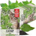 Seed Needs Catnip Seeds to Plant an Herb Garden - 10 Packs by SeedNeeds